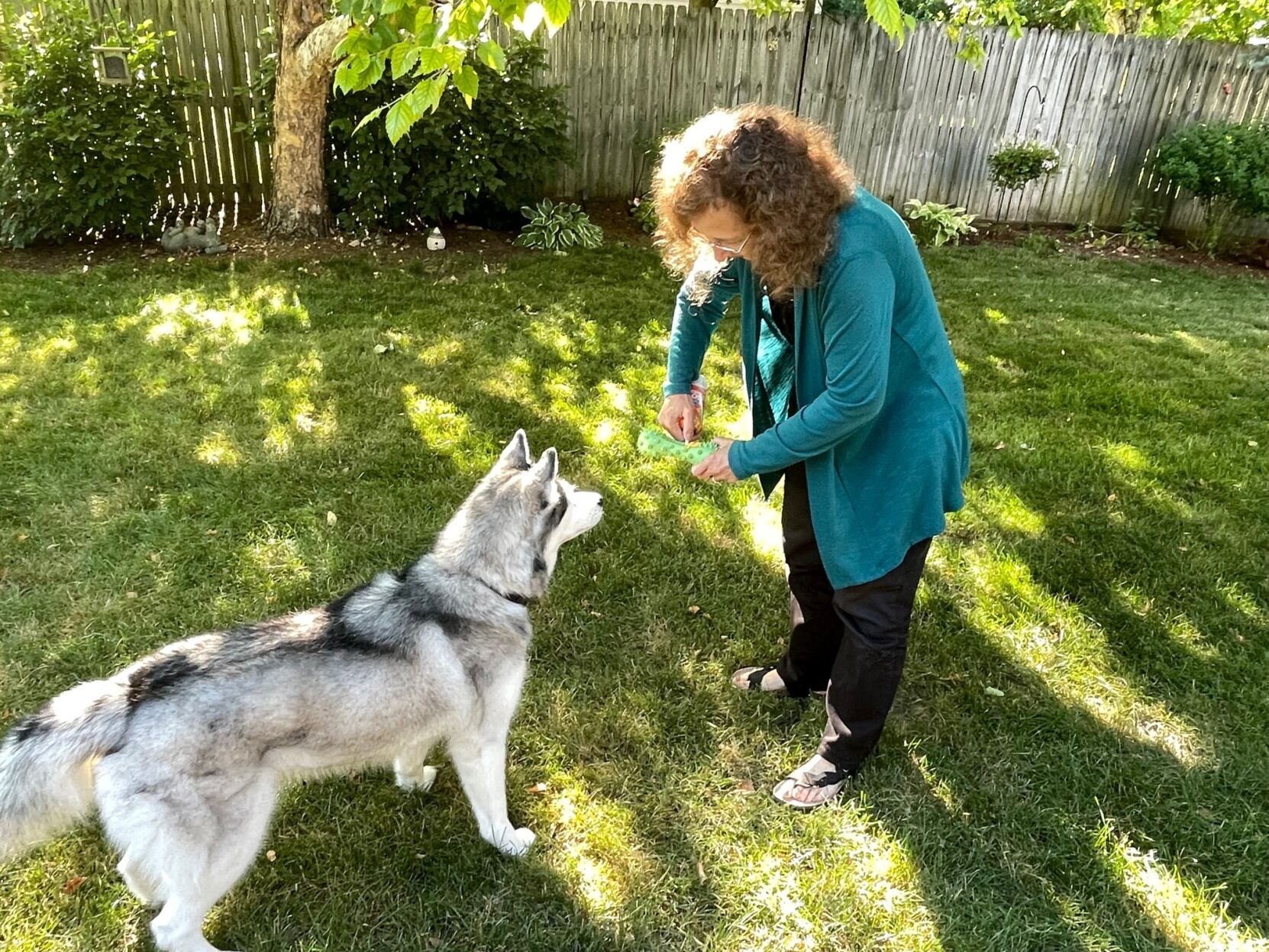 Luka's favorite thing 2